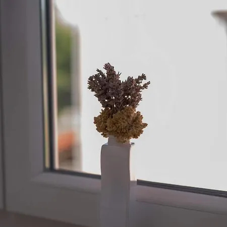 Zoe Apartman